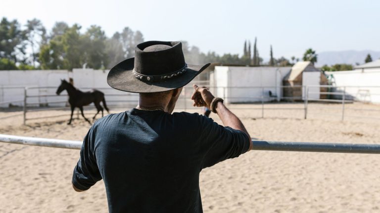 Cowboy western hats pour cosplay et reconstitutions : recommandations